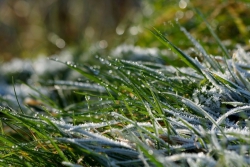 В Татарстане прогнозируются первые заморозки