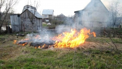 Правила сжигания растительных остатков после уборки урожая на территориях частных домовладений