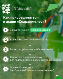 Альметьевцев приглашают принять участие в акции «Сохраним лес»