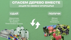 Акция "Спасём дерево вместе" пройдёт в Альметьевске